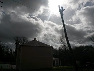 elagage abattage La Ferté-Gaucher, 77320